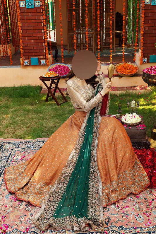 Ayesha Imran Ruedad-e-Sahr Heavy Embroidered Net Bridal Maxi Unstitched UP135
