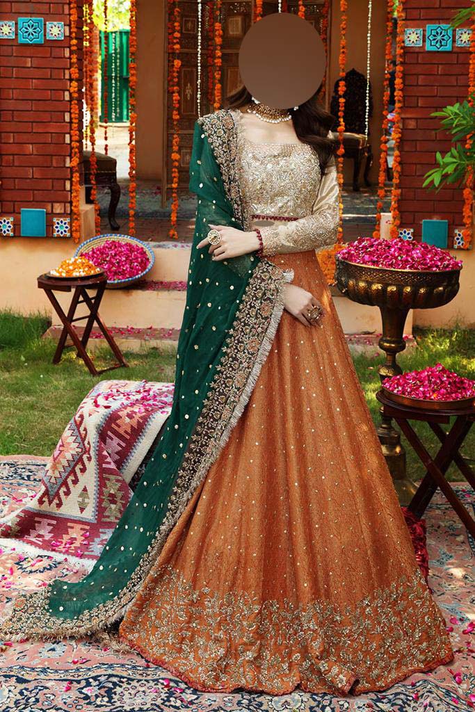 Ayesha Imran Ruedad-e-Sahr Heavy Embroidered Net Bridal Maxi Unstitched UP135