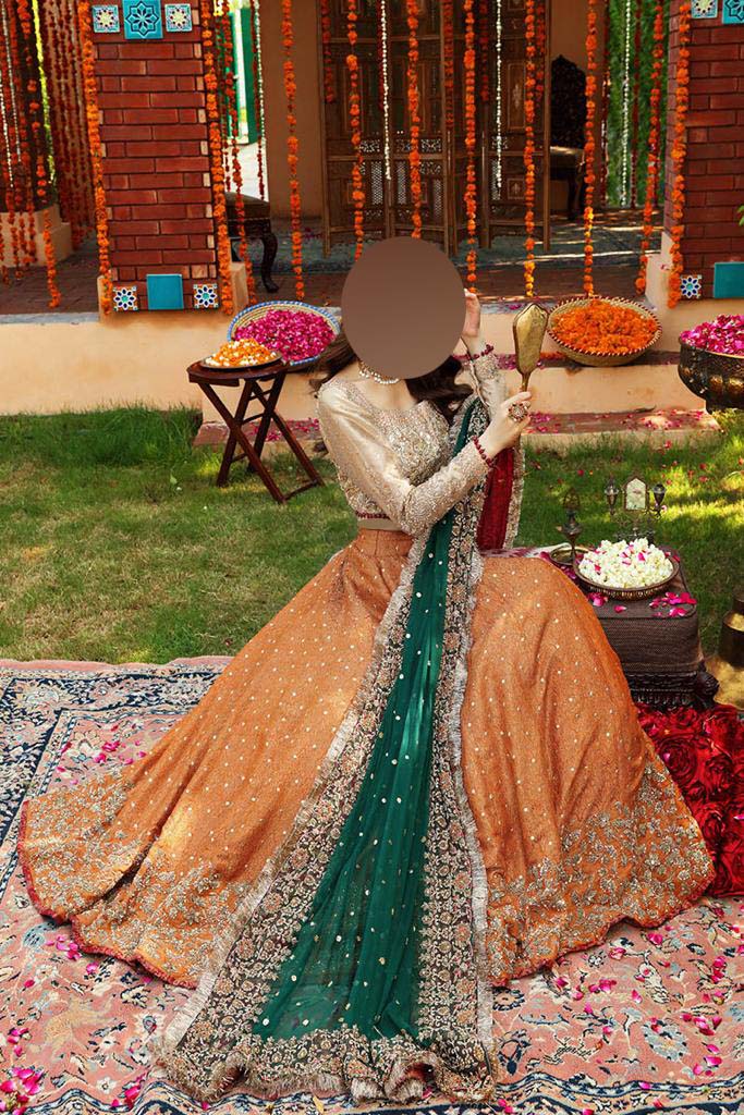 Ayesha Imran Ruedad-e-Sahr Heavy Embroidered Net Bridal Maxi Unstitched UP135