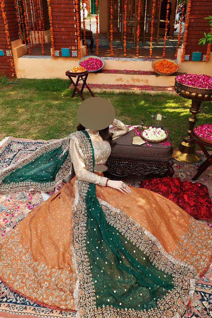 Ayesha Imran Ruedad-e-Sahr Heavy Embroidered Net Bridal Maxi Unstitched UP135