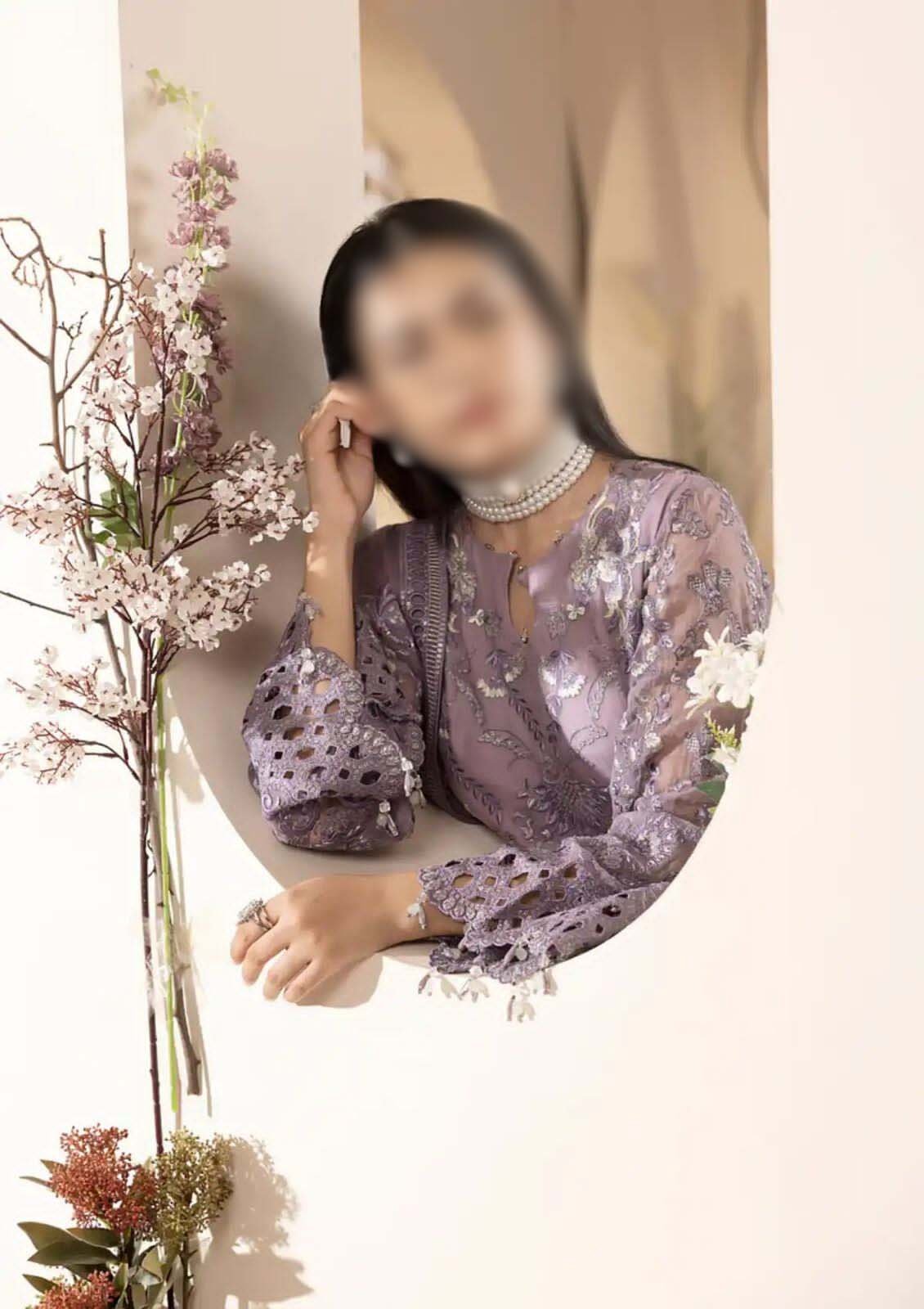Lavish Heavy Embroidered Fancy Chiffon Party Wear Dress LH-8435 - Image 2