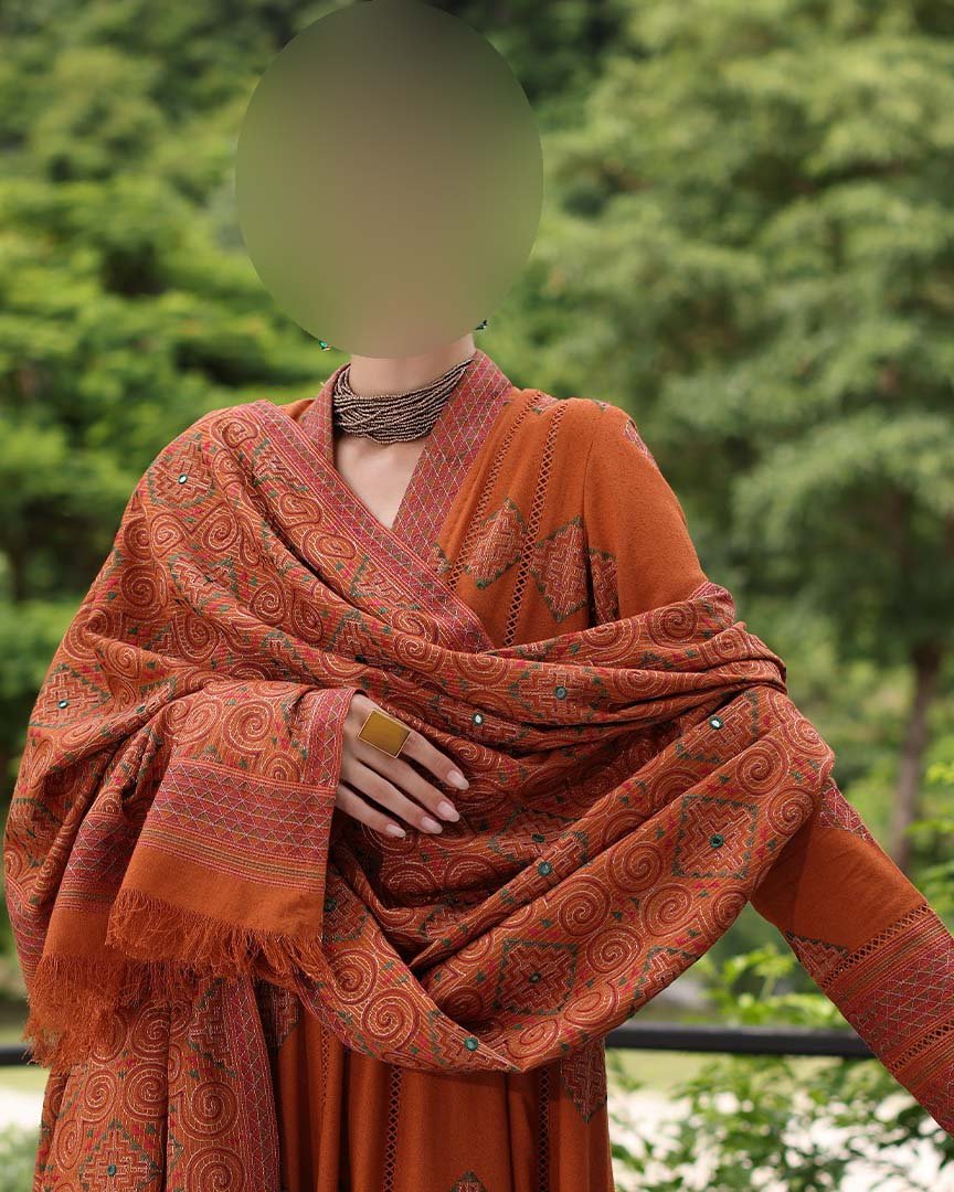 Bareeze Dhanak 3-Piece Suit with Embroidered Dhanak Shawl BZ27D - Image 2