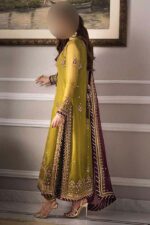 Asim Jofa Chiffon Embroidered 3-Piece Suit – Unstitched UP24 - Image 3